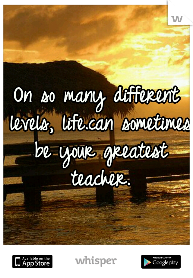 On so many different levels, life.can sometimes be your greatest teacher.