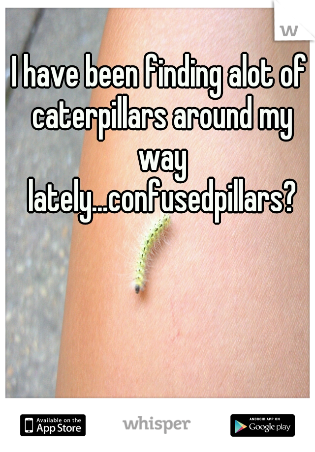 I have been finding alot of caterpillars around my way lately...confusedpillars?