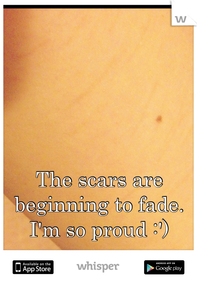 The scars are beginning to fade. I'm so proud :')