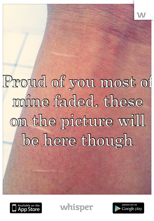 Proud of you most of mine faded. these on the picture will be here though