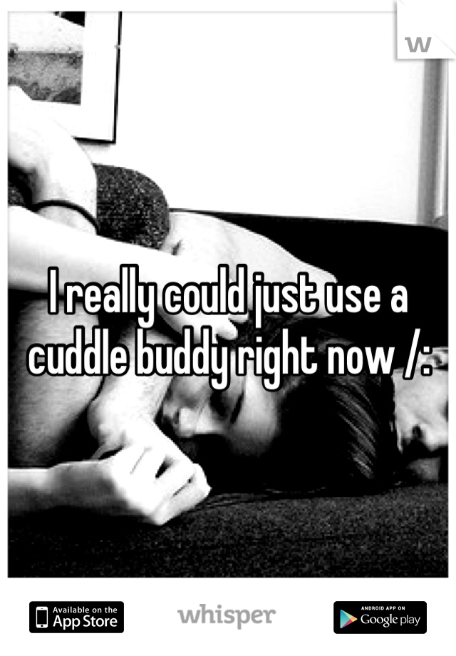 I really could just use a cuddle buddy right now /: