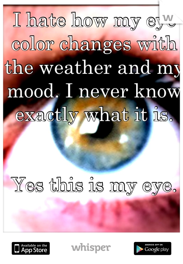 I hate how my eye color changes with the weather and my mood. I never know exactly what it is.


Yes this is my eye.