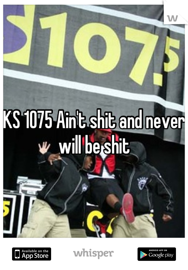 KS 1075 Ain't shit and never will be shit