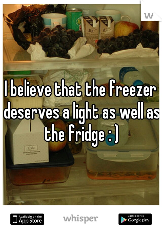 I believe that the freezer deserves a light as well as the fridge : )