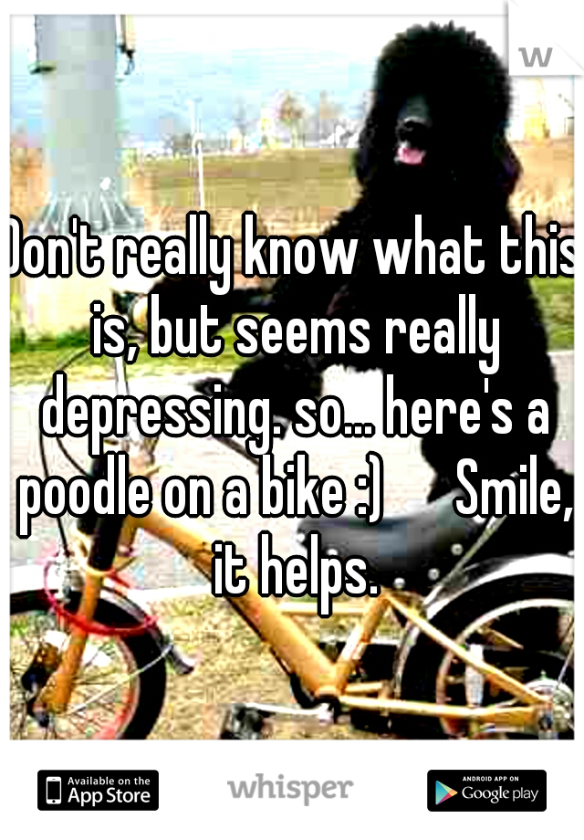 Don't really know what this is, but seems really depressing. so... here's a poodle on a bike :) 

Smile, it helps.