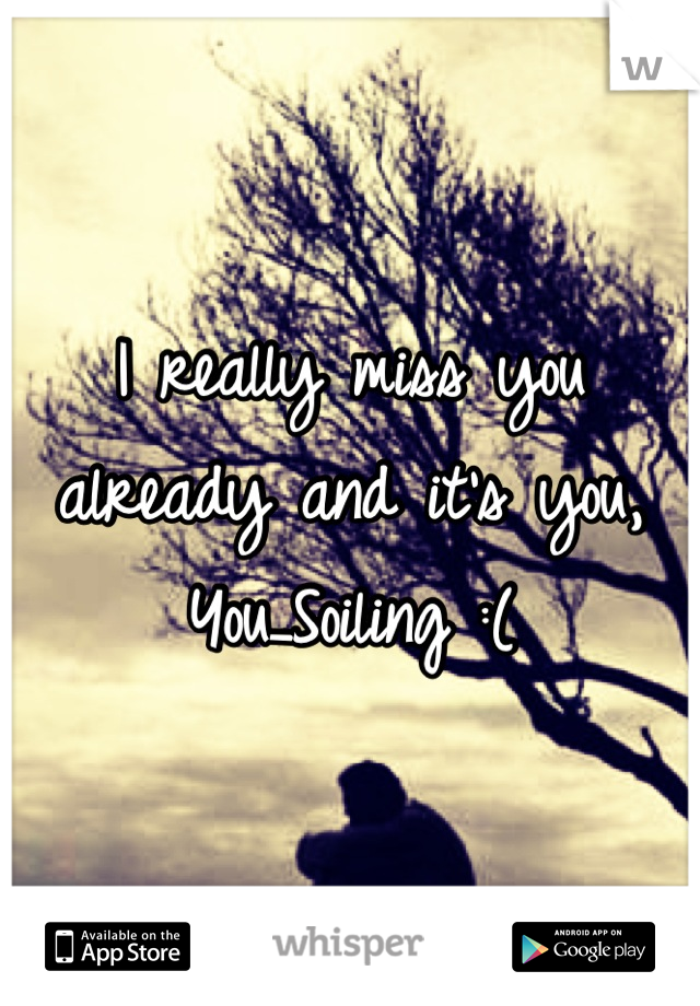 I really miss you already and it's you, You_Soiling :(