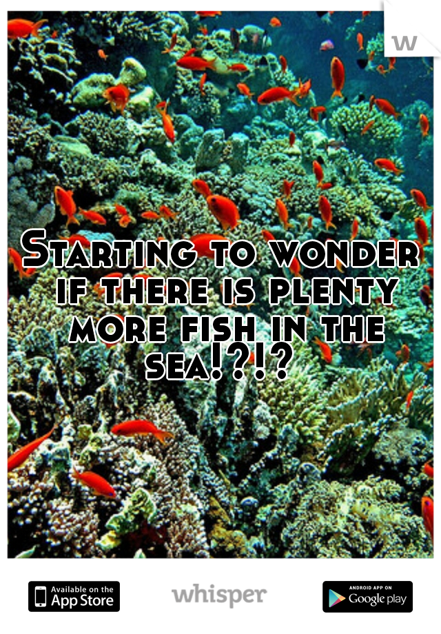 Starting to wonder if there is plenty more fish in the sea!?!? 