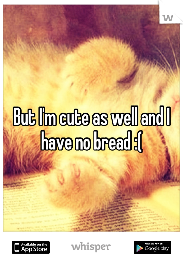 But I'm cute as well and I have no bread :(