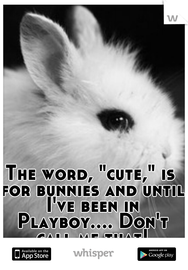 The word, "cute," is for bunnies and until I've been in Playboy.... Don't call me that!