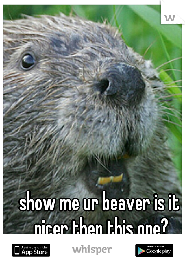 show me ur beaver is it nicer then this one?