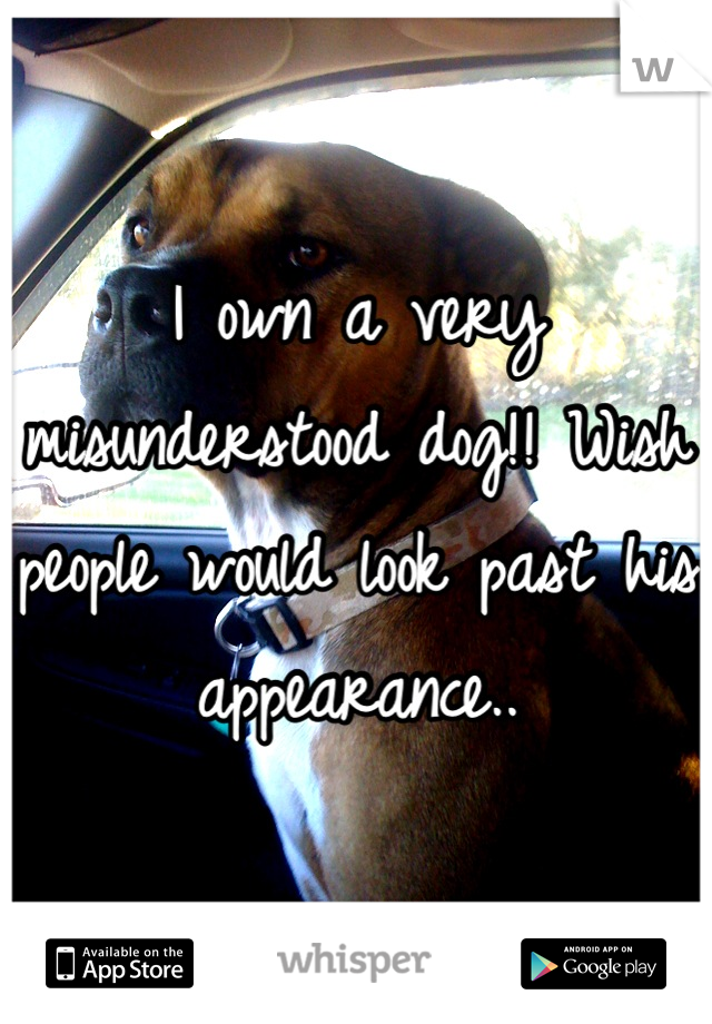 I own a very misunderstood dog!! Wish people would look past his appearance..