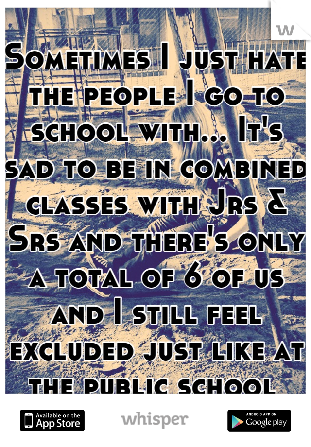 Sometimes I just hate the people I go to school with... It's sad to be in combined classes with Jrs & Srs and there's only a total of 6 of us and I still feel excluded just like at the public school 