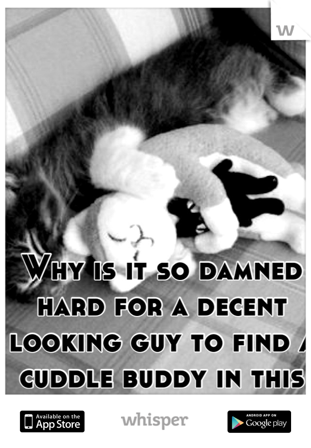 Why is it so damned hard for a decent looking guy to find a cuddle buddy in this town?