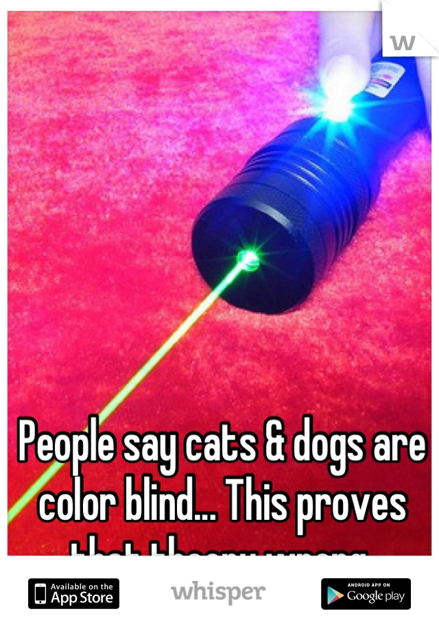 People say cats & dogs are color blind... This proves that theory wrong.