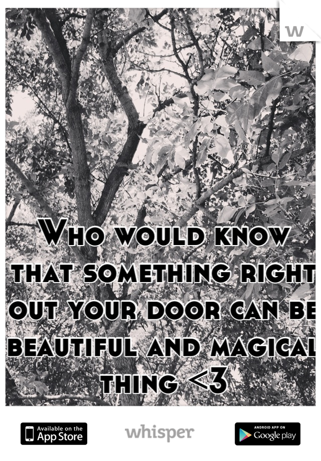 Who would know that something right out your door can be beautiful and magical thing <3