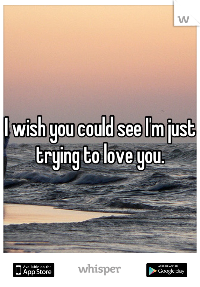 I wish you could see I'm just trying to love you.