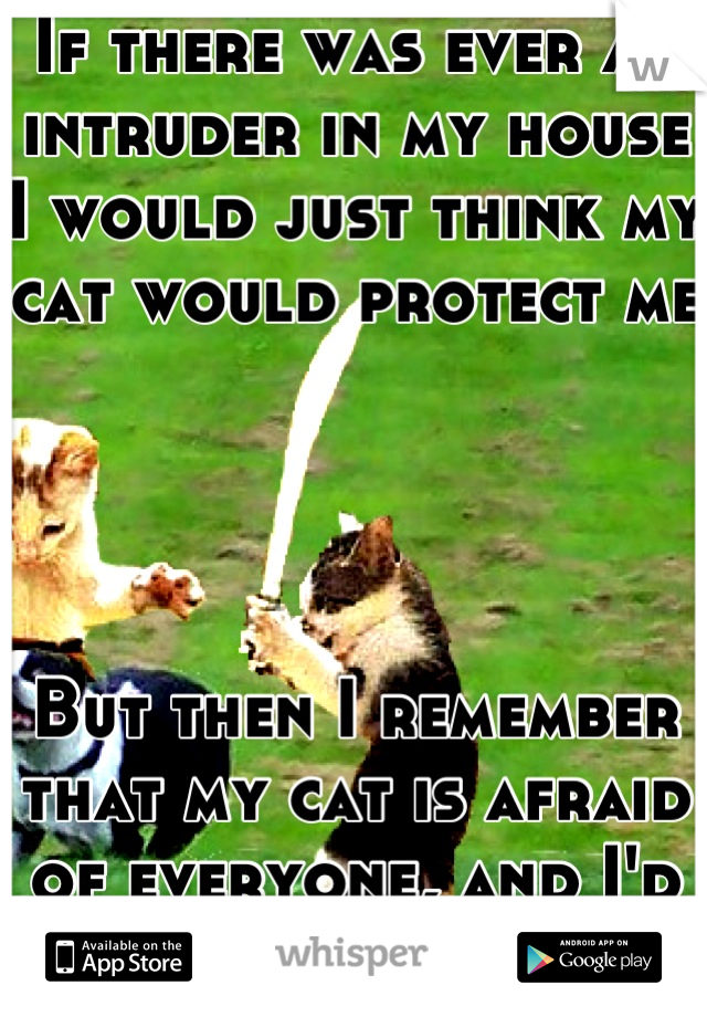 If there was ever an intruder in my house I would just think my cat would protect me




But then I remember that my cat is afraid of everyone, and I'd be on my own...