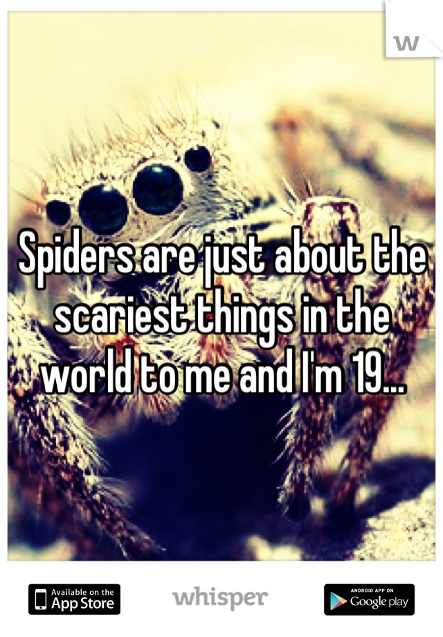 Spiders are just about the scariest things in the world to me and I'm 19...