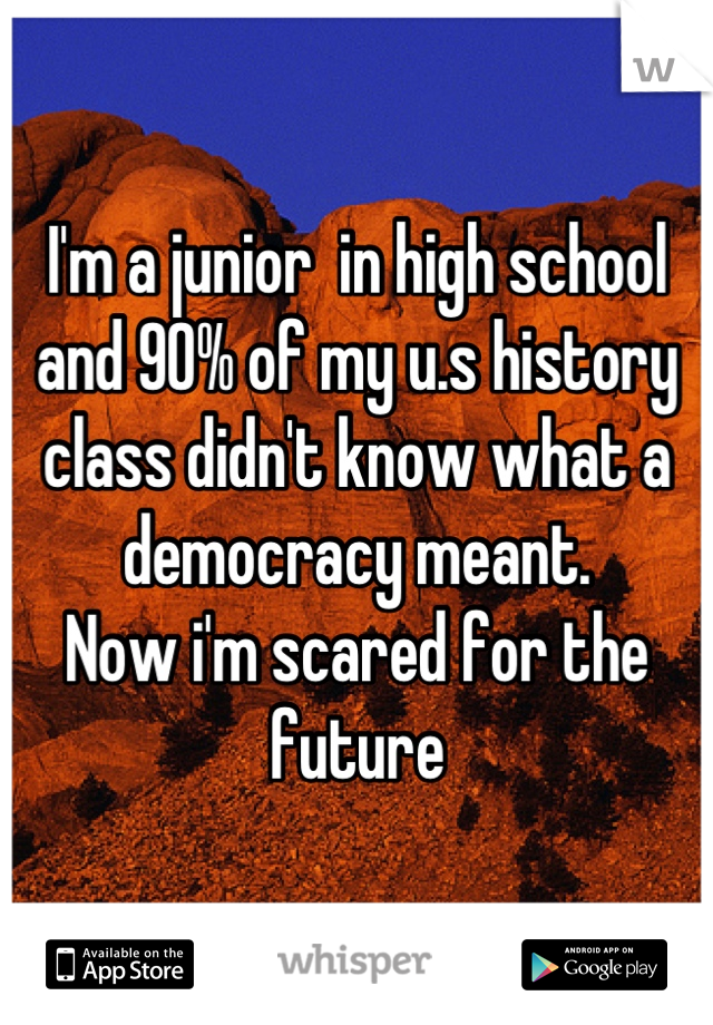 I'm a junior  in high school and 90% of my u.s history class didn't know what a democracy meant.                          
Now i'm scared for the future