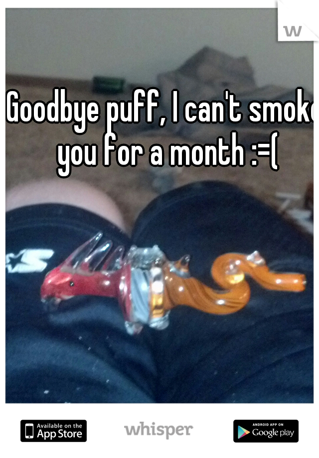 Goodbye puff, I can't smoke you for a month :=(