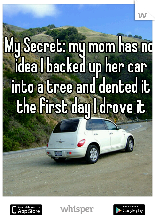 My Secret: my mom has no idea I backed up her car into a tree and dented it the first day I drove it