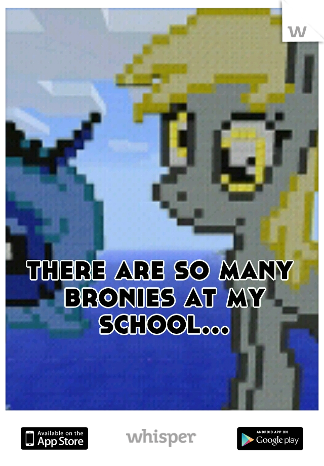 there are so many bronies at my school...