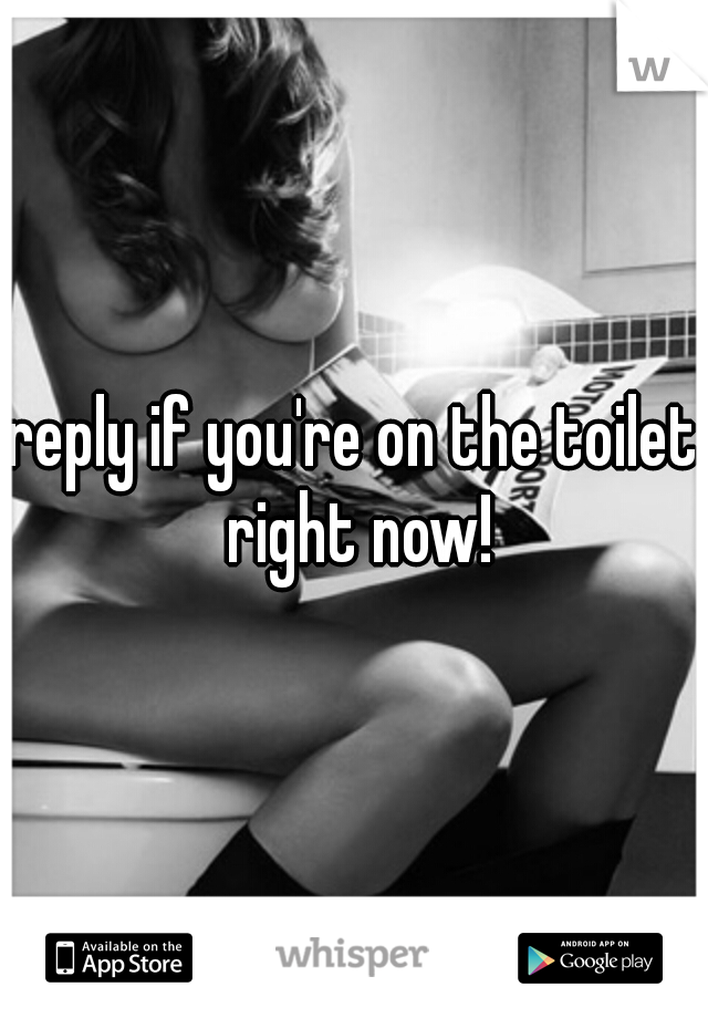 reply if you're on the toilet right now!