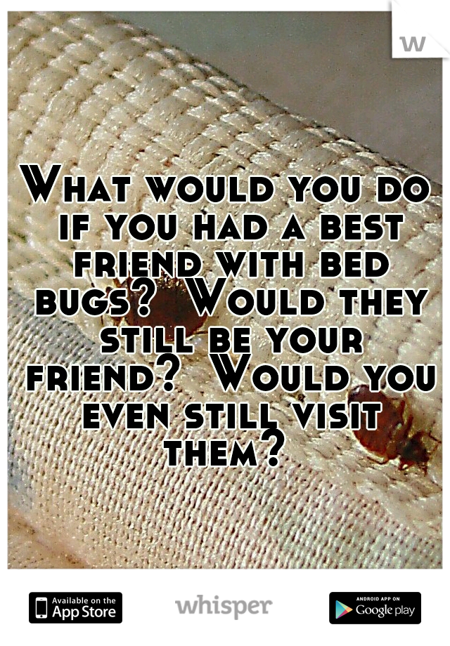 What would you do if you had a best friend with bed bugs?  Would they still be your friend?  Would you even still visit them? 