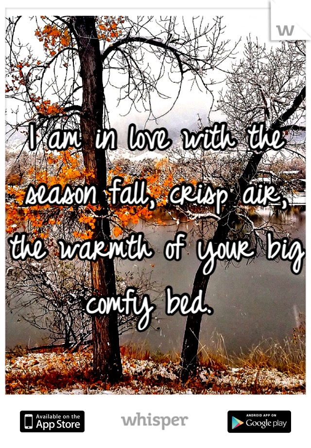 I am in love with the season fall, crisp air, the warmth of your big comfy bed. 