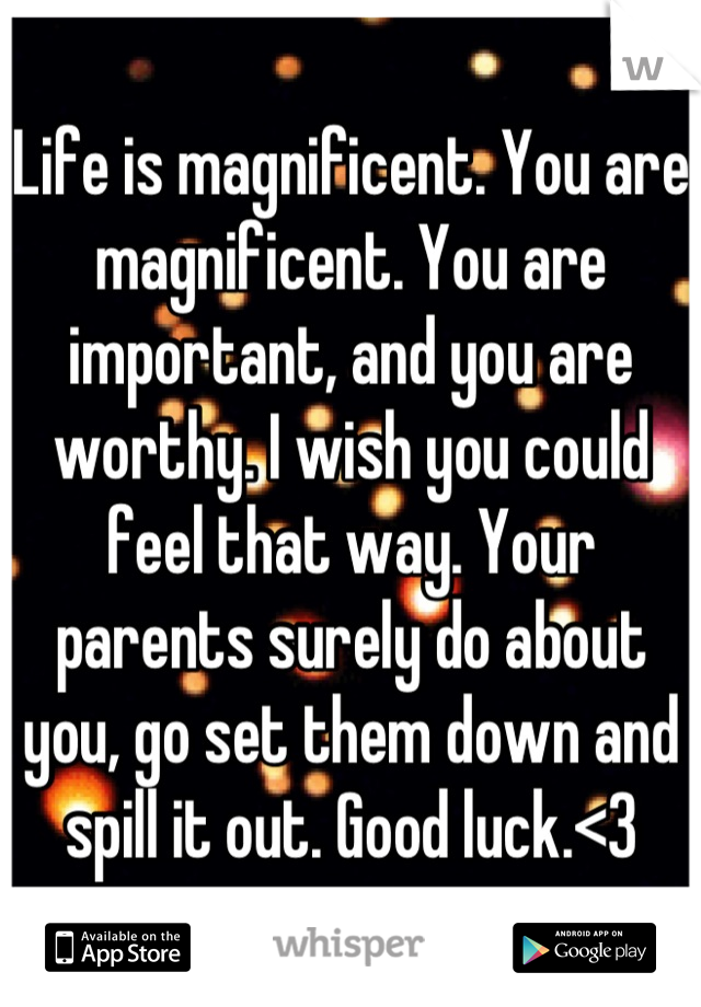 Life is magnificent. You are magnificent. You are important, and you are worthy. I wish you could feel that way. Your parents surely do about you, go set them down and spill it out. Good luck.<3