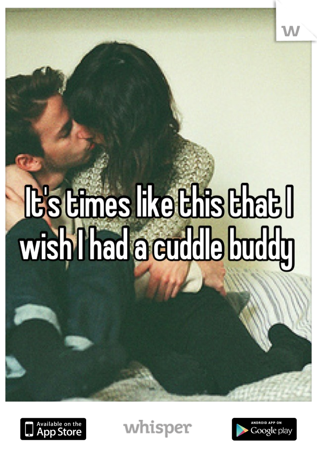 It's times like this that I wish I had a cuddle buddy 