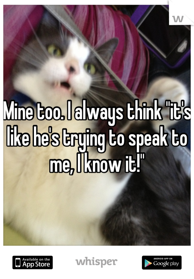 Mine too. I always think "it's like he's trying to speak to me, I know it!"