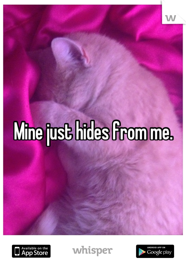 Mine just hides from me.