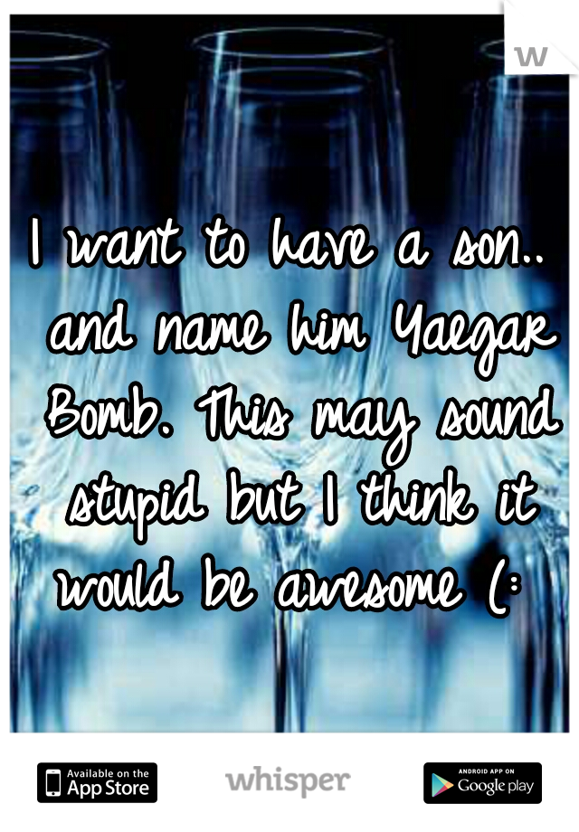 I want to have a son.. and name him Yaegar Bomb. This may sound stupid but I think it would be awesome (: 