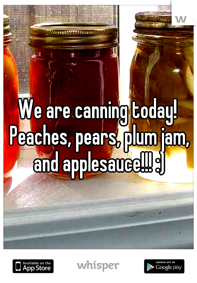 We are canning today! Peaches, pears, plum jam, and applesauce!!! :)