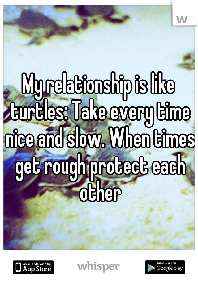 My relationship is like turtles: Take every time nice and slow. When times get rough protect each other