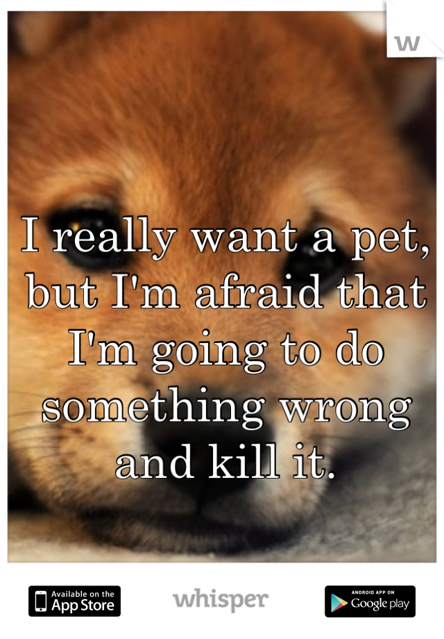 I really want a pet, but I'm afraid that I'm going to do something wrong and kill it.