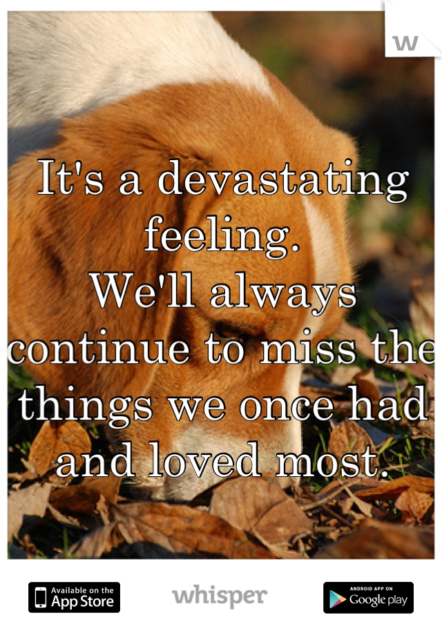 It's a devastating feeling.
We'll always continue to miss the things we once had and loved most.