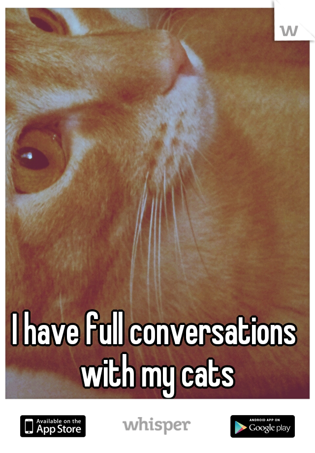 I have full conversations with my cats