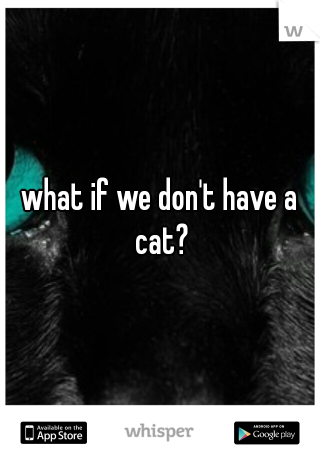 what if we don't have a cat?