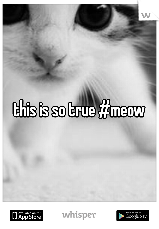 this is so true #meow