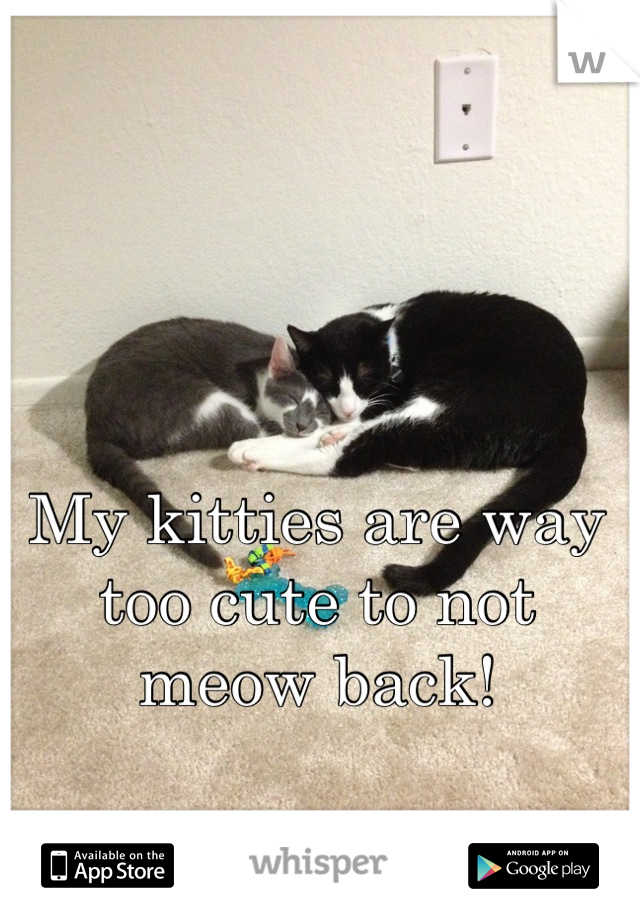 My kitties are way too cute to not meow back!