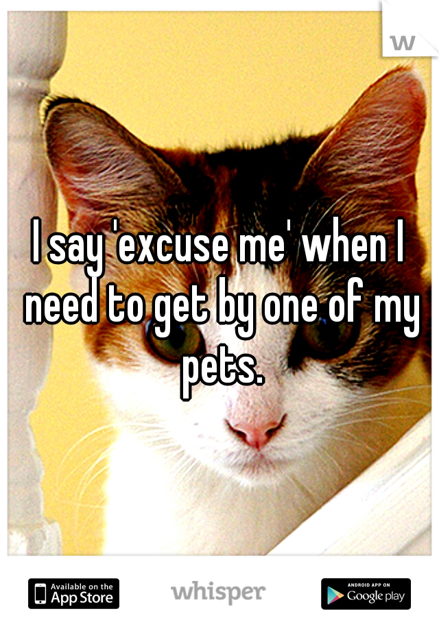 I say 'excuse me' when I need to get by one of my pets.