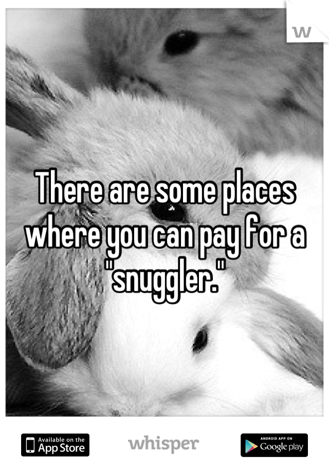 There are some places where you can pay for a "snuggler."