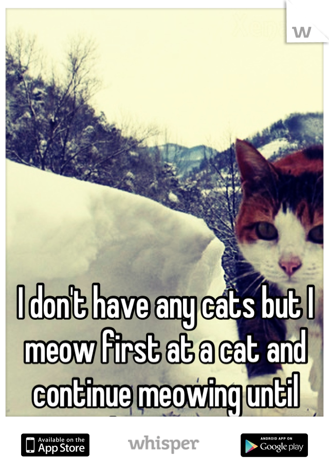 I don't have any cats but I meow first at a cat and continue meowing until they stop c: