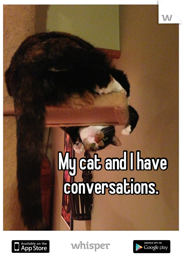 My cat and I have conversations. 