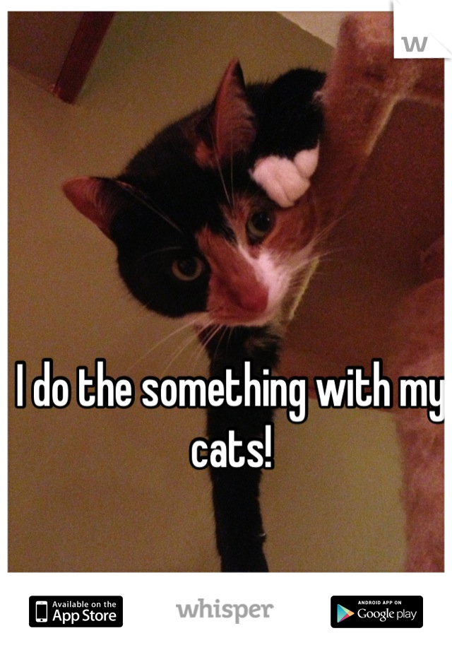 I do the something with my cats!