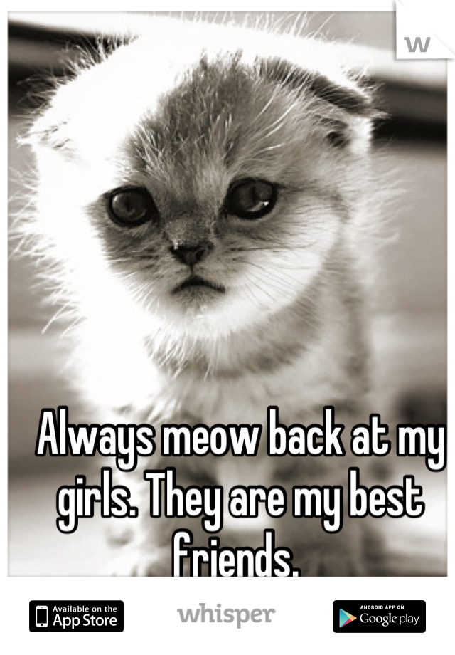 Always meow back at my girls. They are my best friends. 