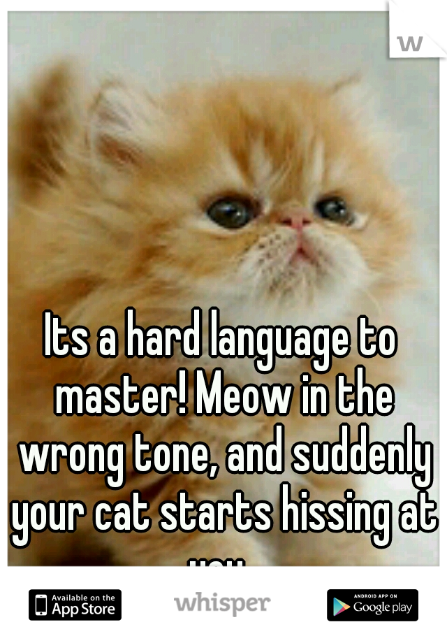 Its a hard language to master! Meow in the wrong tone, and suddenly your cat starts hissing at you. 