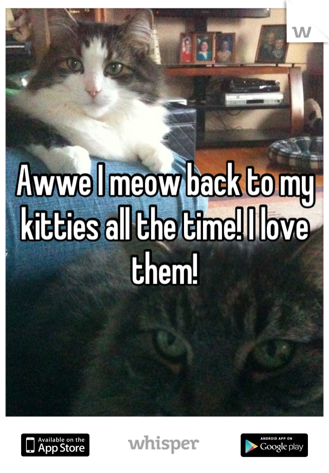 Awwe I meow back to my kitties all the time! I love them!